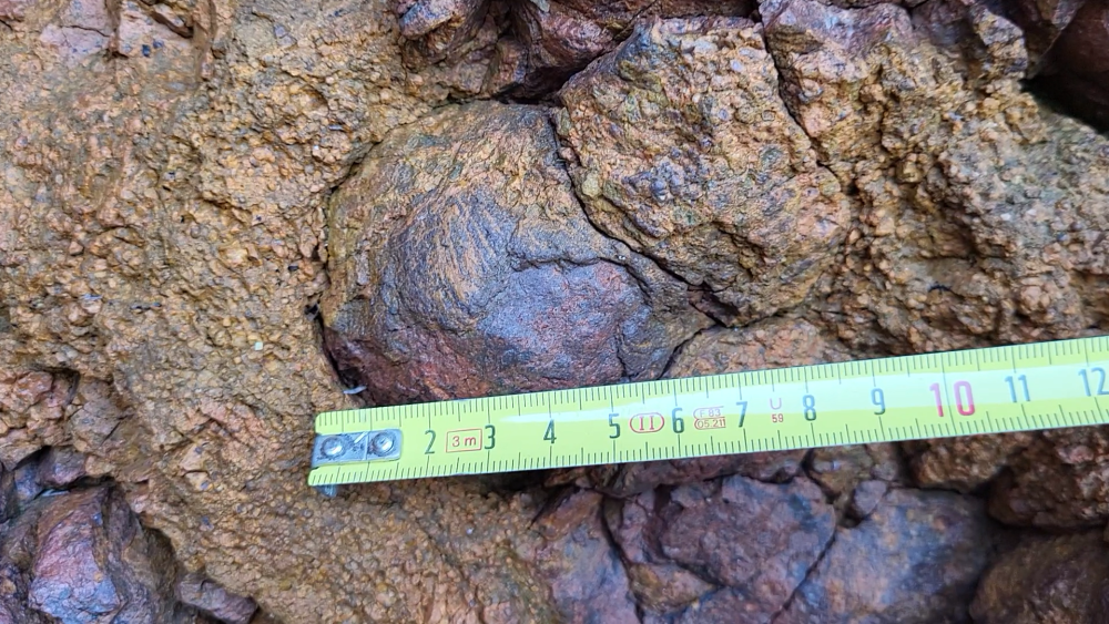 PYROMERIDES (10).png