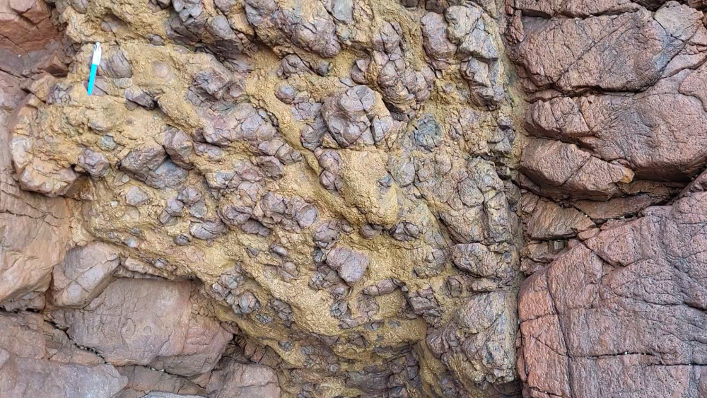 PYROMERIDES (11).png