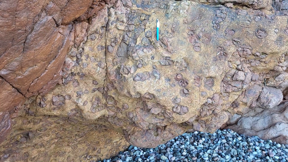 PYROMERIDES (14).png