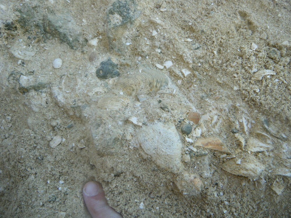 boury_en_vexin_08_09_2021 (24).JPG