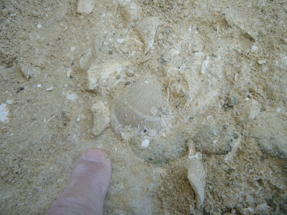 boury_en_vexin_08_09_2021 (26).JPG