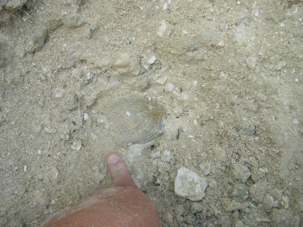 boury_en_vexin_22_08_2023 (46).JPG