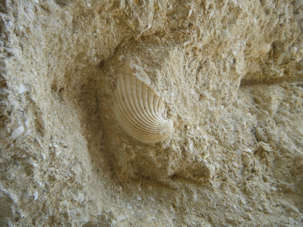 boury_en_vexin_6_09_2021 (35).JPG