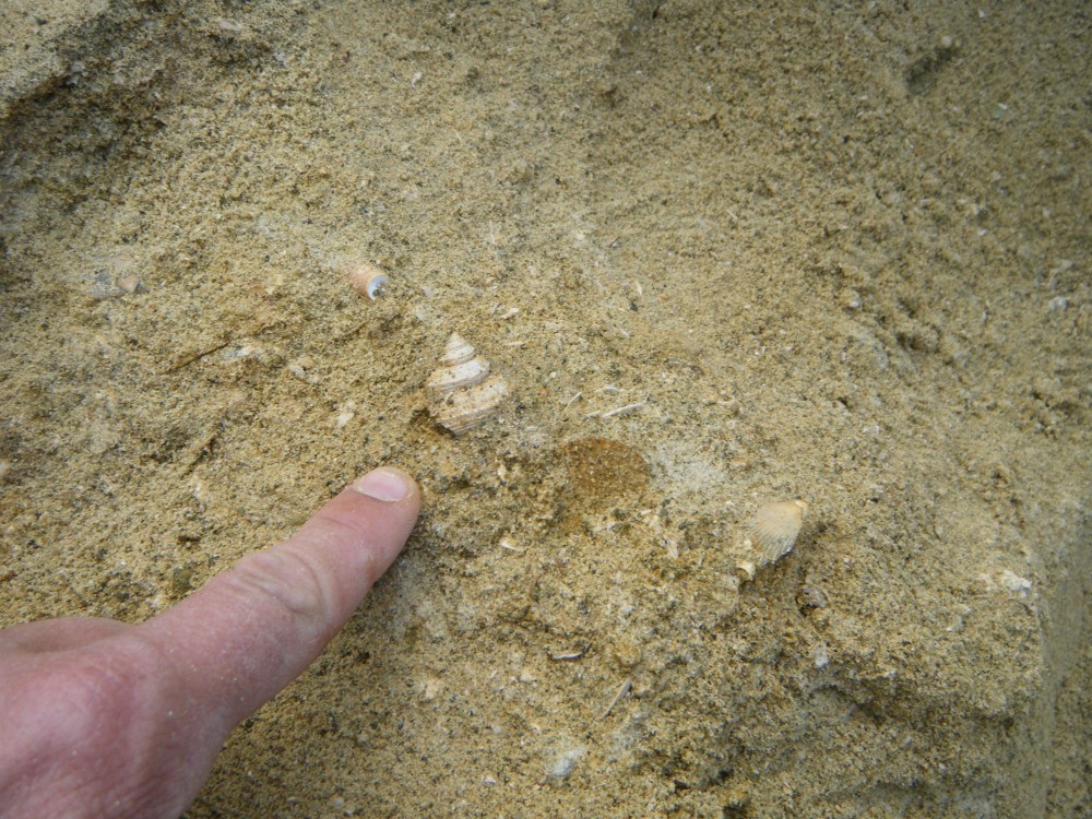 darcy_15_09_2010 (247).JPG