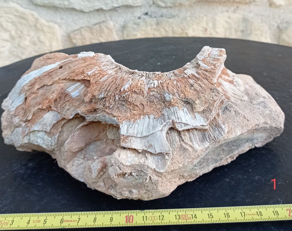 les htes gardes 1.jpg