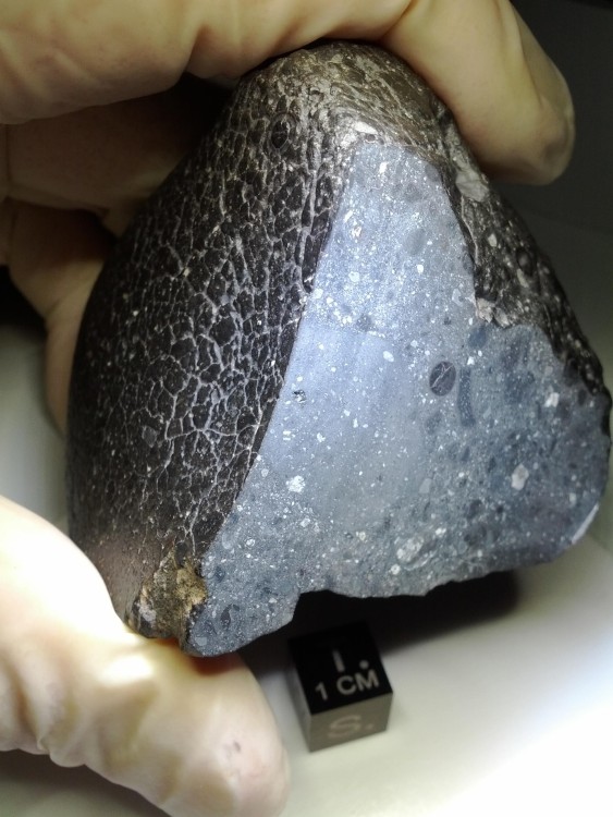 meteorite-martien-nwa7034.thumb.jpg.dbef4c5cbd30f8212c46a2d6ae1c4b67.jpg