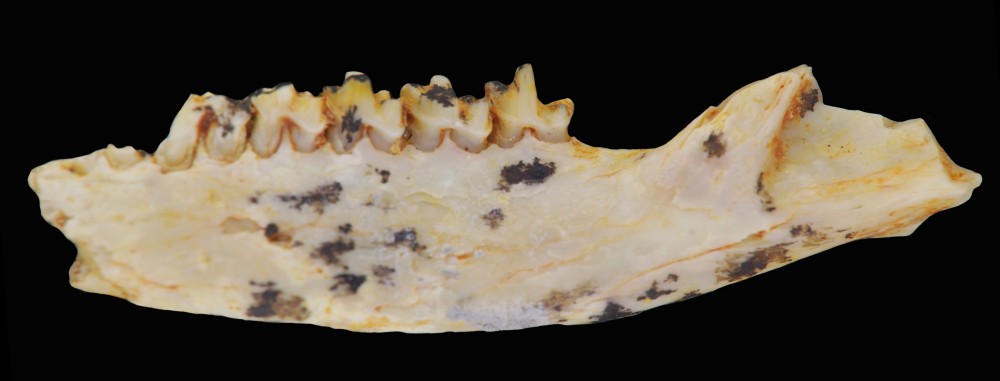 2025-03-23 11-45-55 (B,Radius50,Smoothing10).jpg