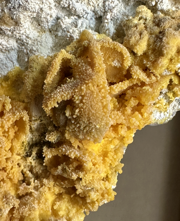 Capture d’écran 2025-05-11 à 10.10.09.png