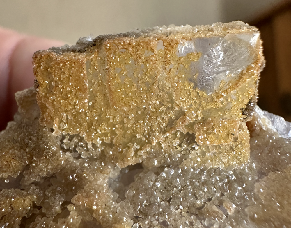 Capture d’écran 2025-05-11 à 10.13.45.png