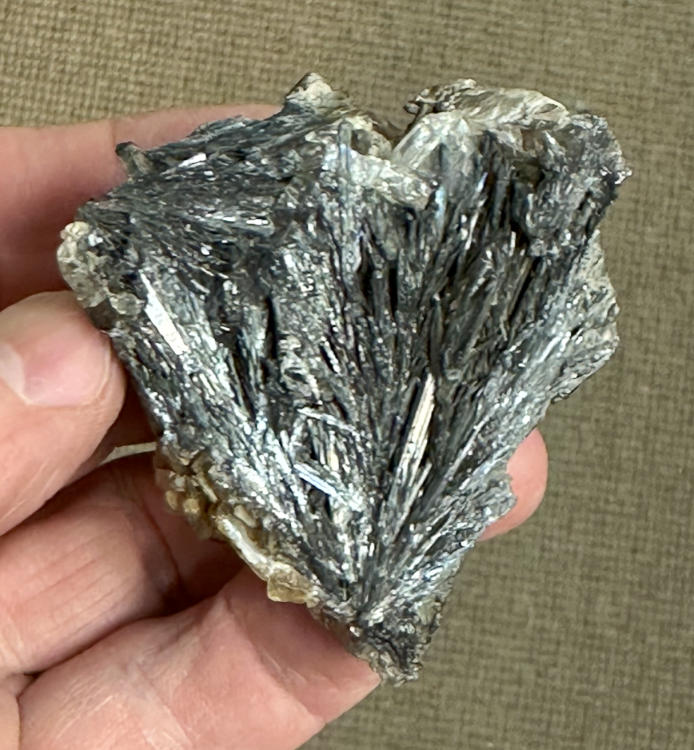 Capture d’écran 2025-05-11 à 10.14.27.png