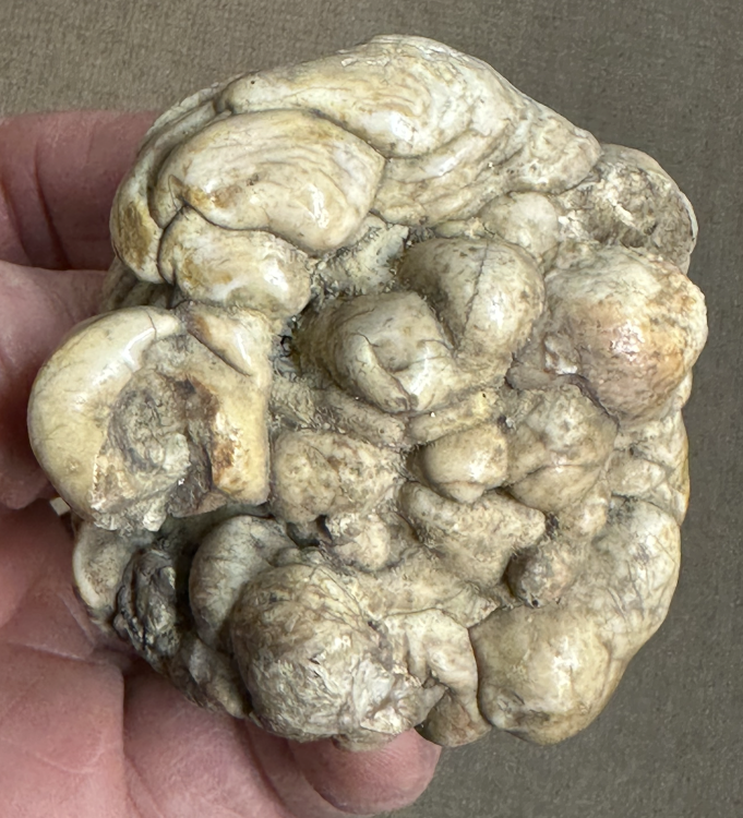 Capture d’écran 2025-05-11 à 10.16.50.png