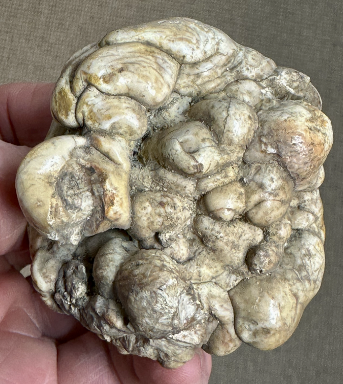 Capture d’écran 2025-05-11 à 10.17.09.png