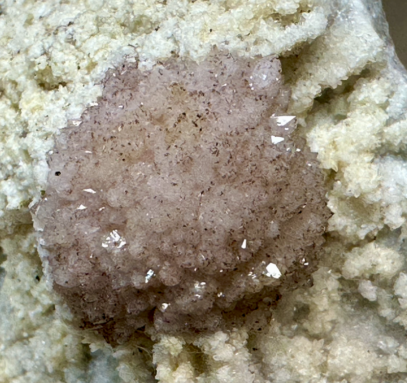 Capture d’écran 2025-05-11 à 10.19.10.png