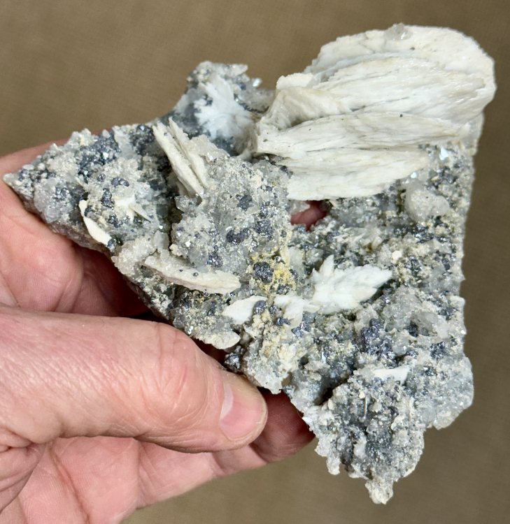 Capture d’écran 2025-05-11 à 10.21.35.png