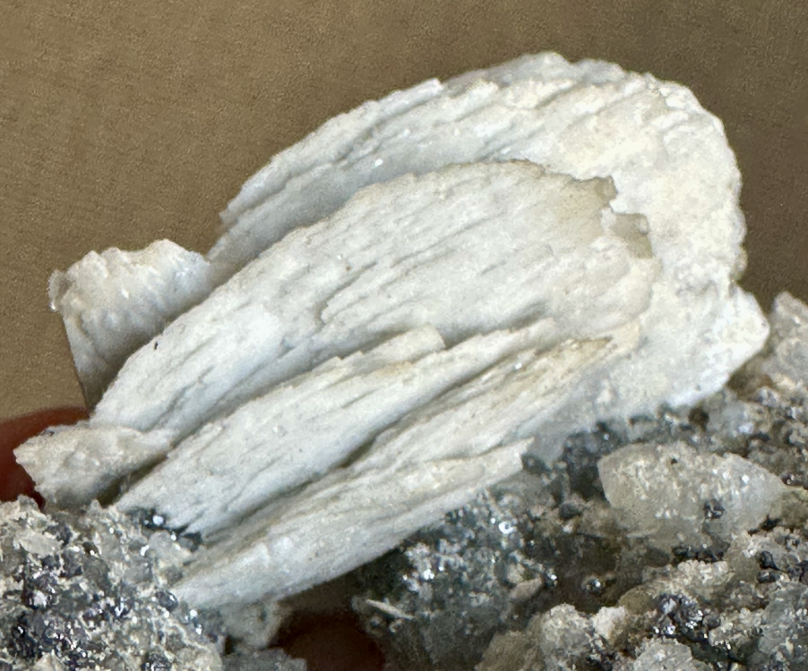 Capture d’écran 2025-05-11 à 10.21.55.png