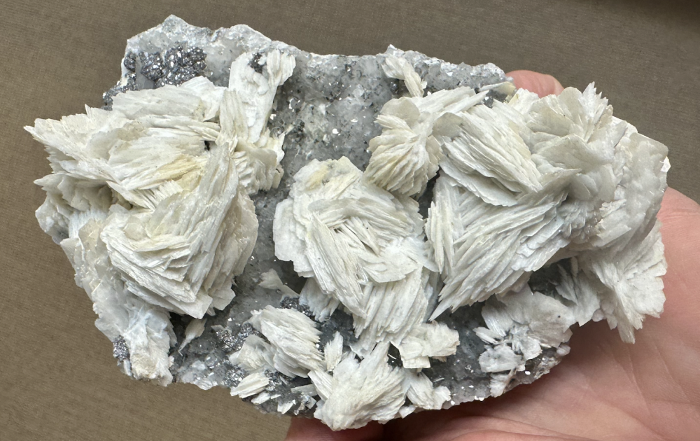 Capture d’écran 2025-05-12 à 00.07.14.png