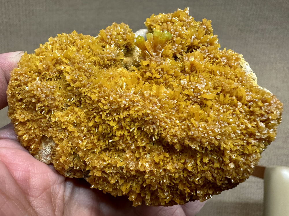 Capture d’écran 2025-05-16 à 00.54.41.png