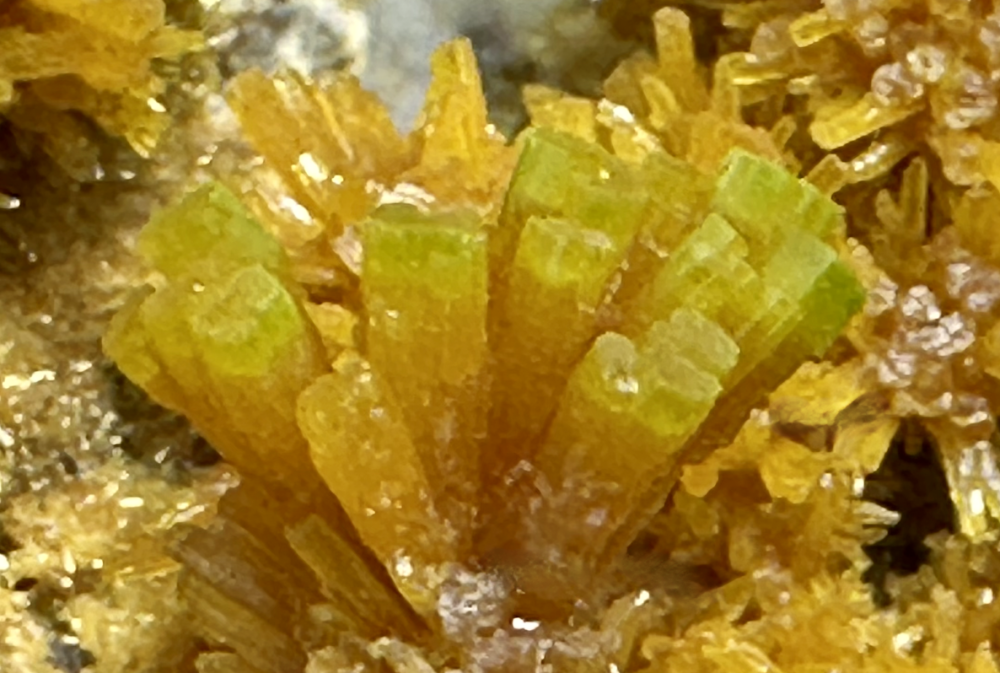 Capture d’écran 2025-05-16 à 00.55.28.png