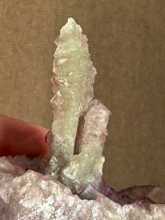 Capture d’écran 2025-05-18 à 10.36.18.png