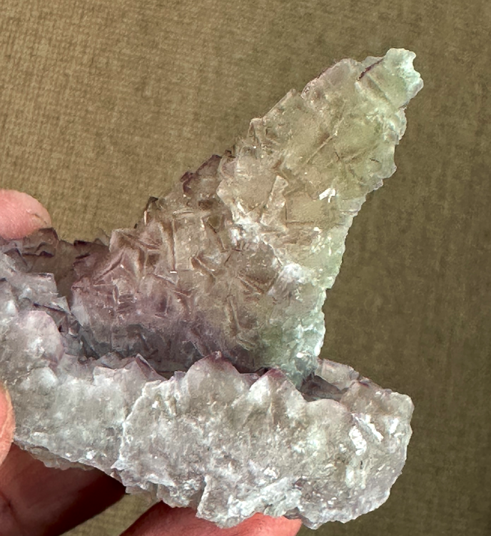 Capture d’écran 2025-05-18 à 10.36.28.png