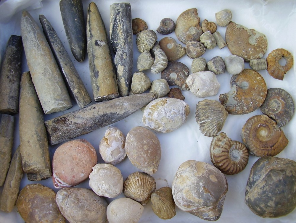 capturées 2007-4-6 00034.JPG