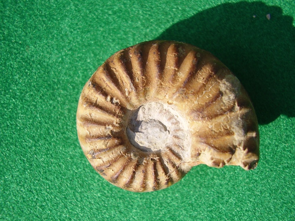 capturées 2007-4-6 00064.JPG