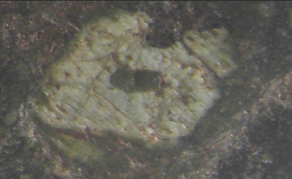 détail rhyolite.JPG
