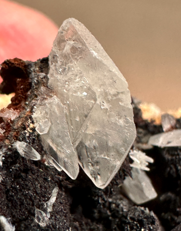 Capture d’écran 2025-05-30 à 19.42.37.png