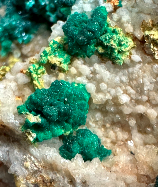 Capture d’écran 2025-05-30 à 19.43.48.png