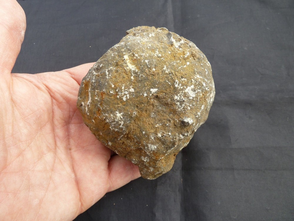 Fossiles 01-05-2016  (3).JPG