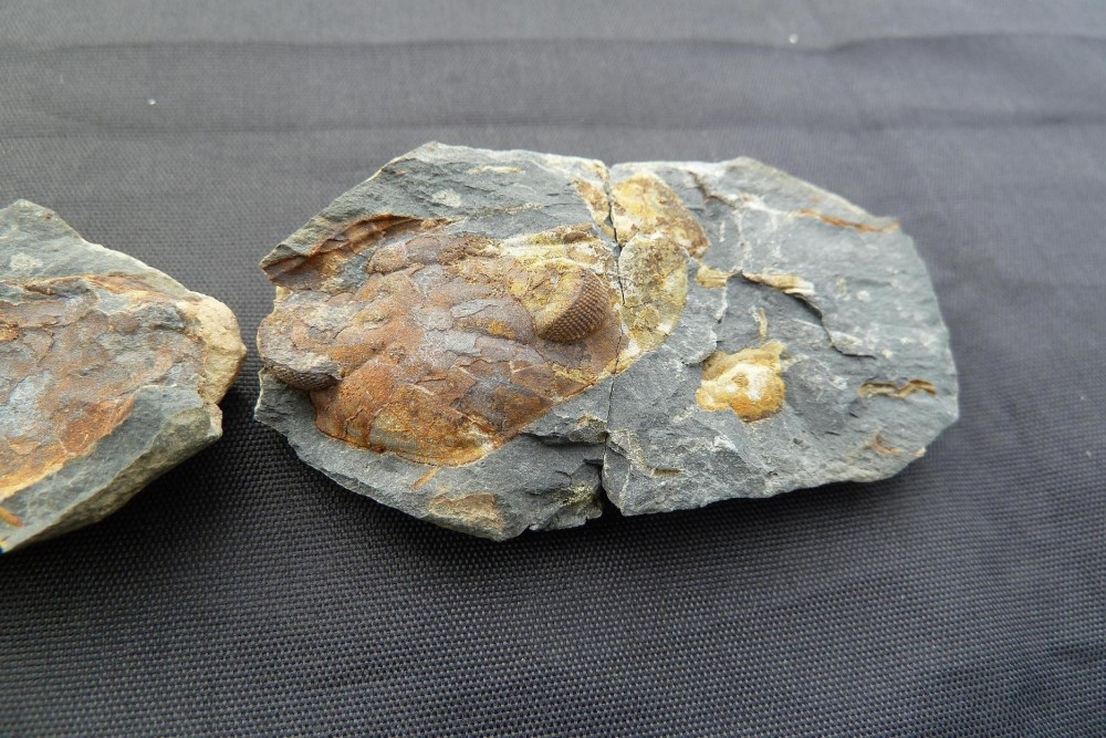 La Meignanne 29-09-2013  (2).JPG