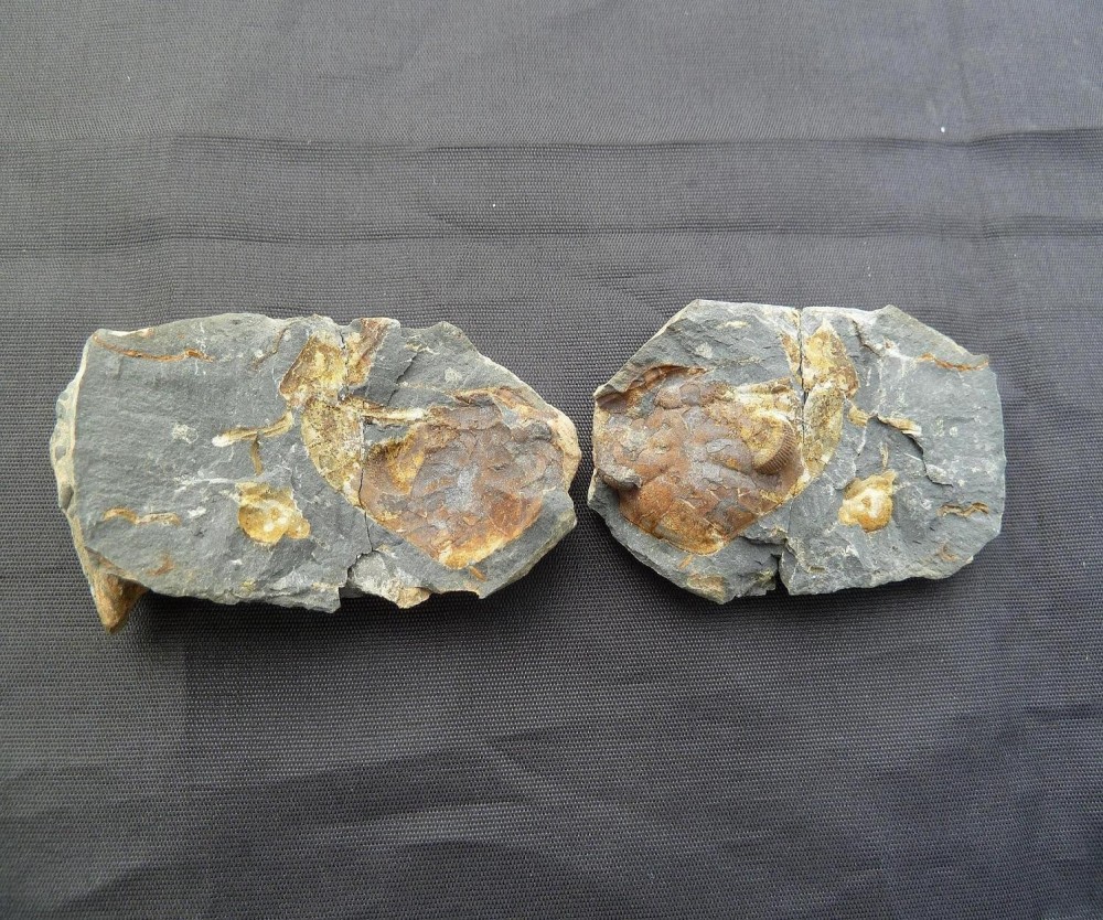 La Meignanne 29-09-2013 .JPG