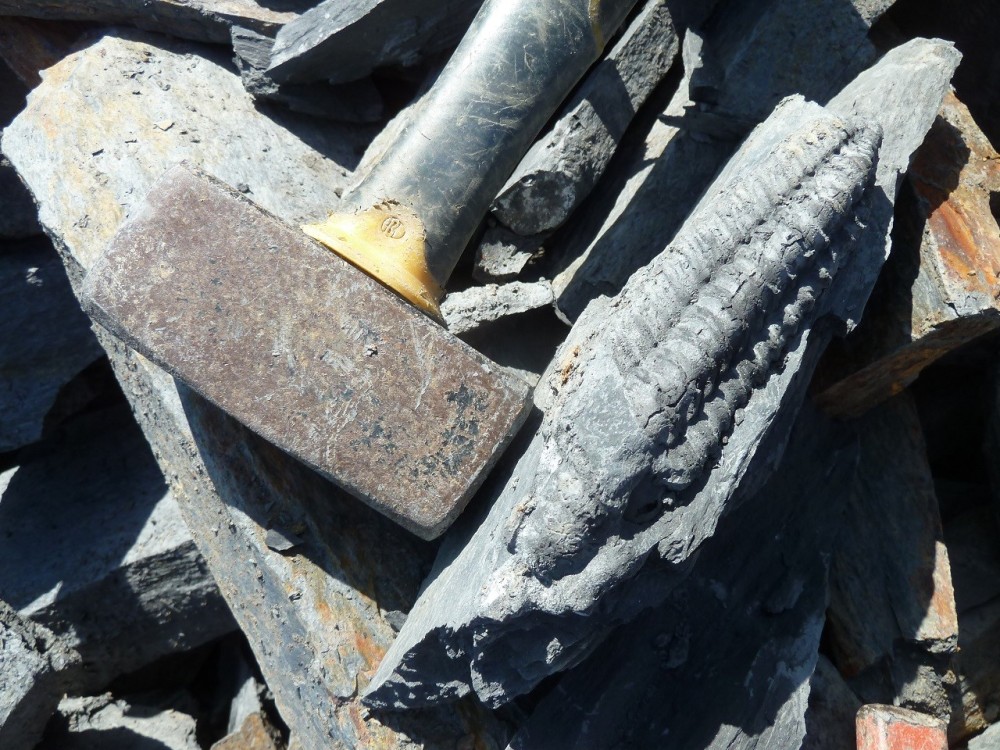 La Primaudais 21-06-2020 (26).JPG