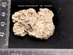 CN#5 (1).jpg