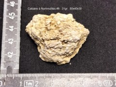 CN#6 (1).jpg