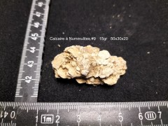 CN#9 (1).jpg