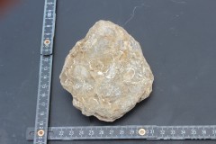 IMG_8491.JPG