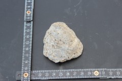 IMG_8492.JPG