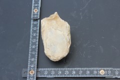 IMG_8498.JPG