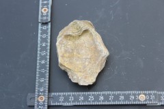 IMG_8506.JPG