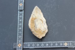 IMG_8514.JPG