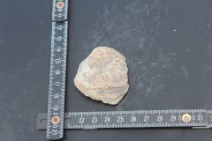 IMG_8536.JPG