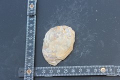 IMG_8544.JPG