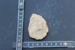 IMG_8553.JPG