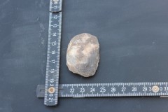 IMG_8556.JPG