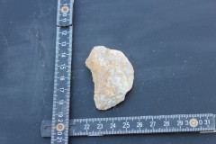 IMG_8562.JPG