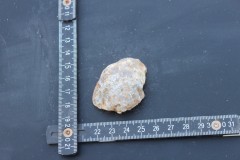 IMG_8597.JPG