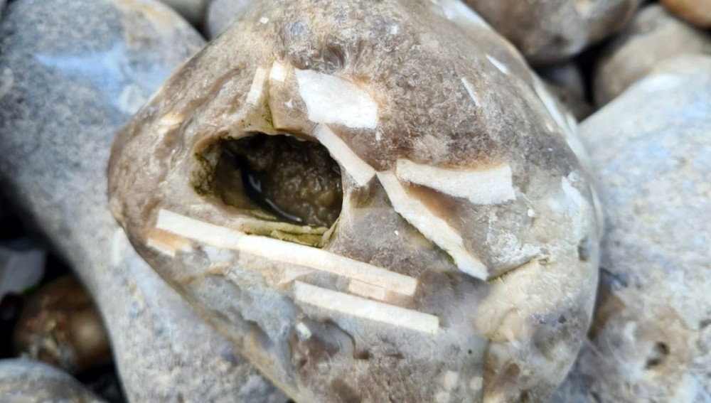 Capture d’écran (238).png.jpg