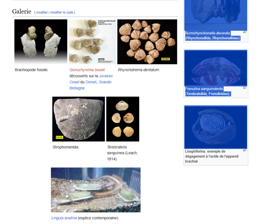 Capture d'écran 2025-07-03 203244.png