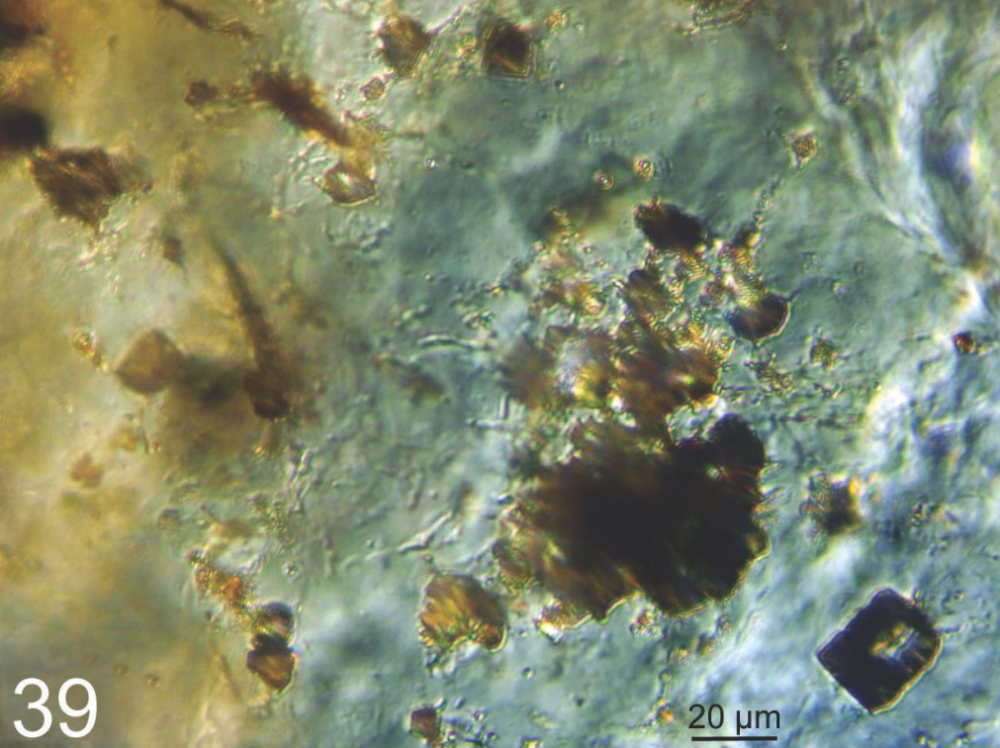 Capture d'écran 2025-07-08 113253.png